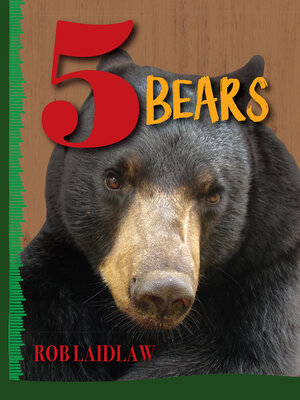 cover image of 5 Bears